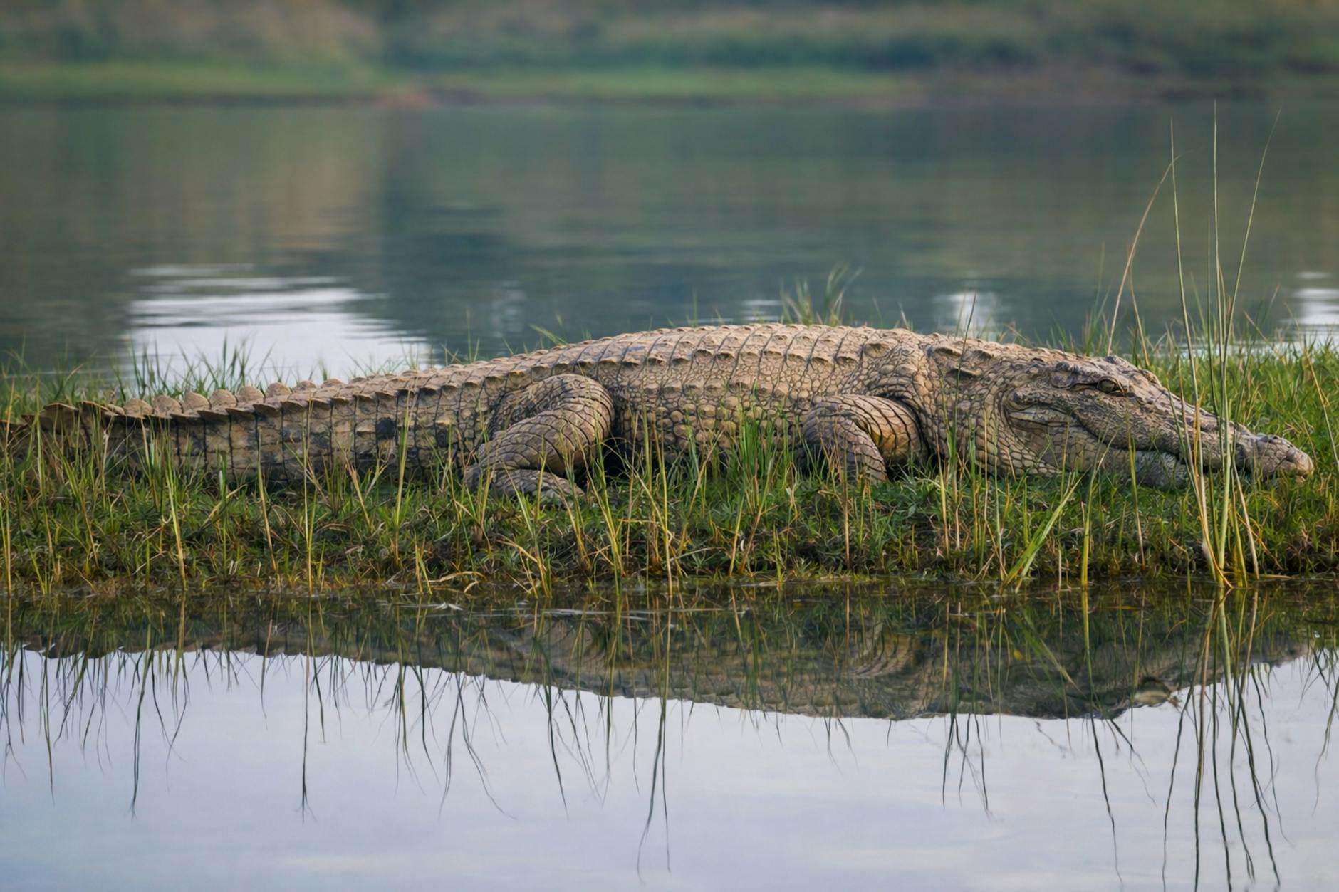 Ranthambore Chambal Boat Safari — Rajasthan, India