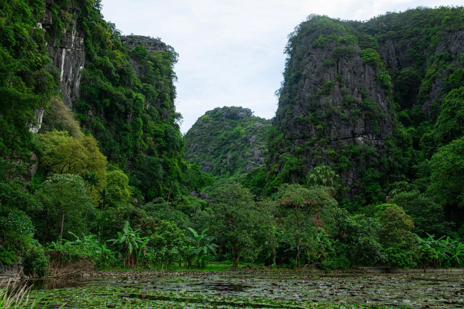 Explore the stunning green landscape and limestone cliffs in a Vietnamese valley
