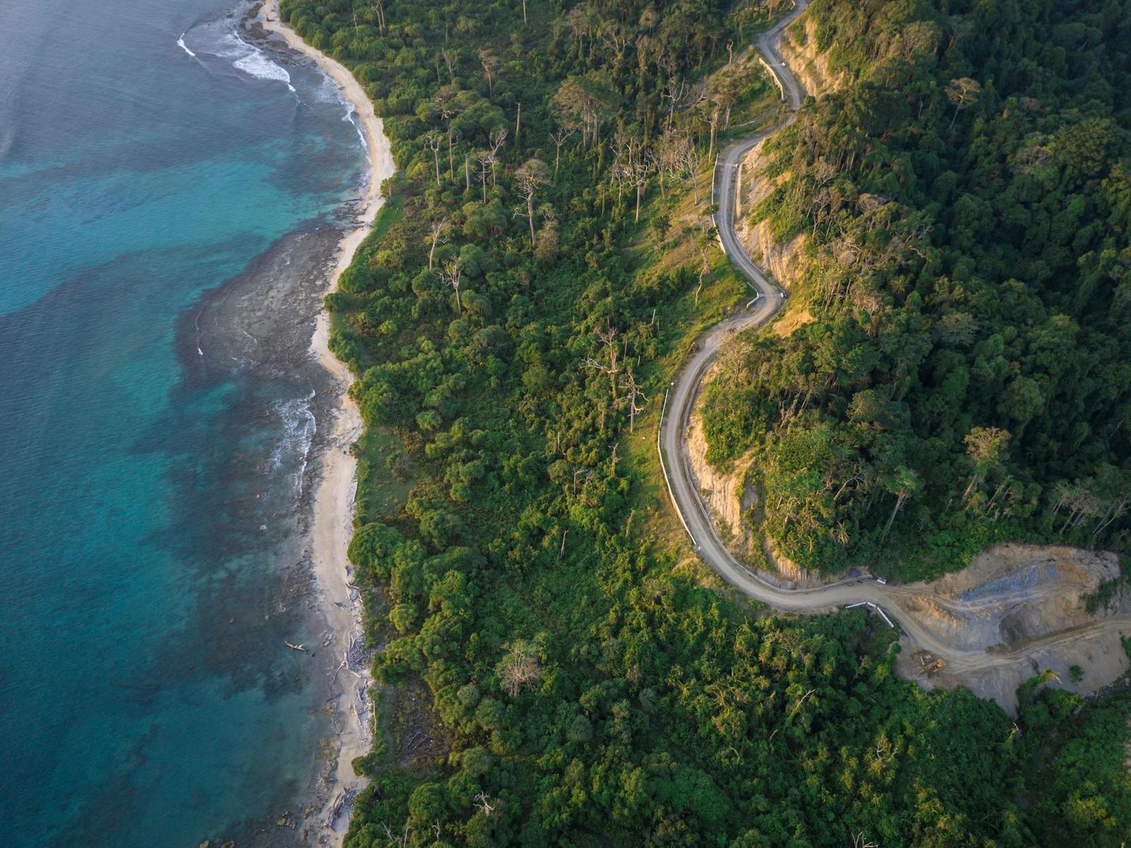 Aerial view of a winding forest road along a turquoise coastline