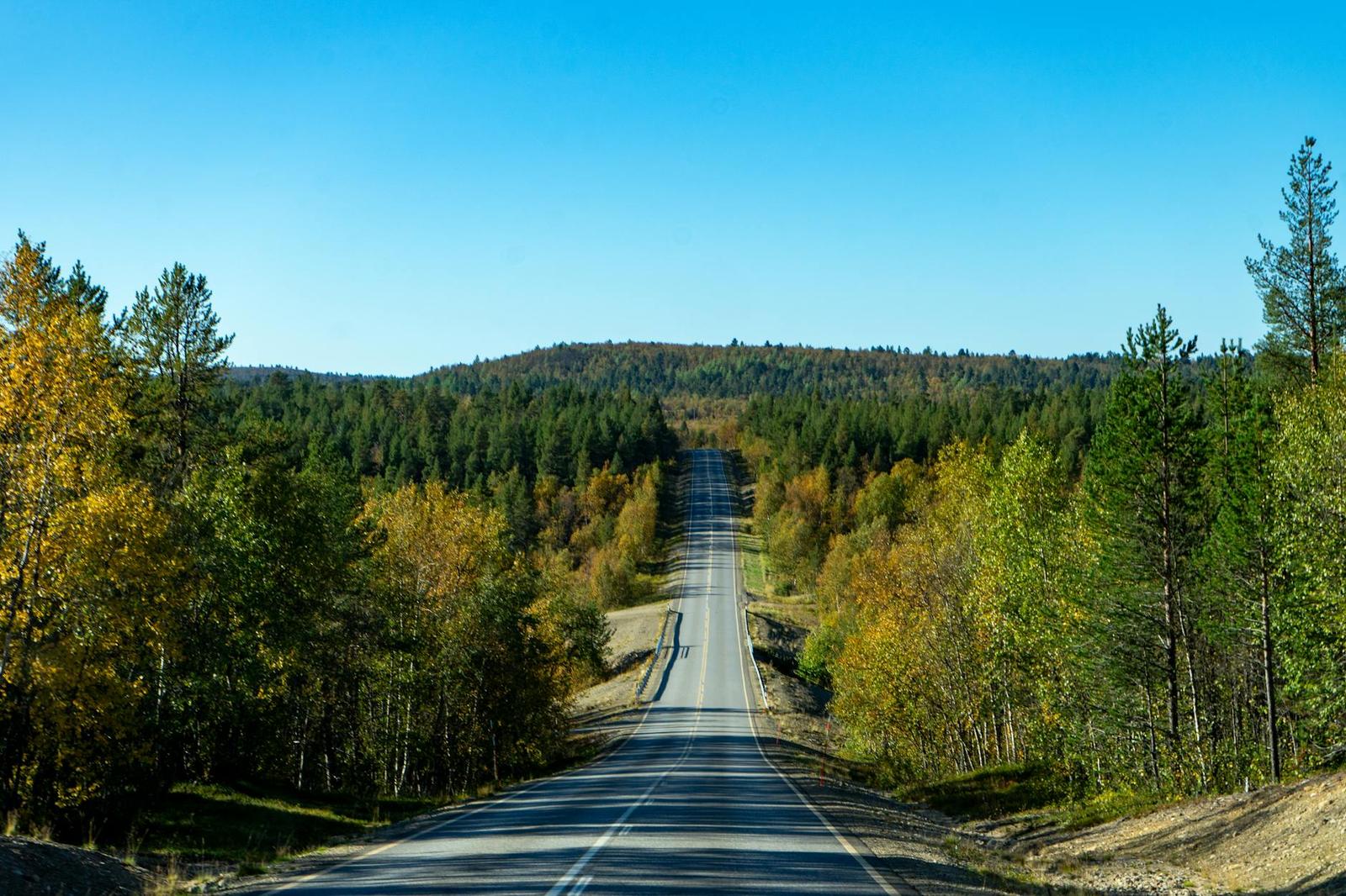 A straight paved road running through autumn forest under a clear sky