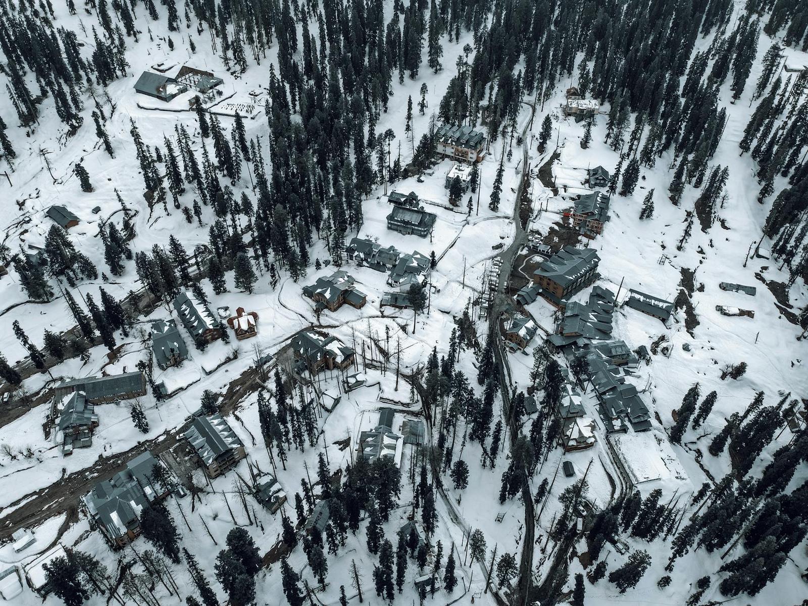 Aerial view of a snowbound mountain village surrounded by dense pine forest
