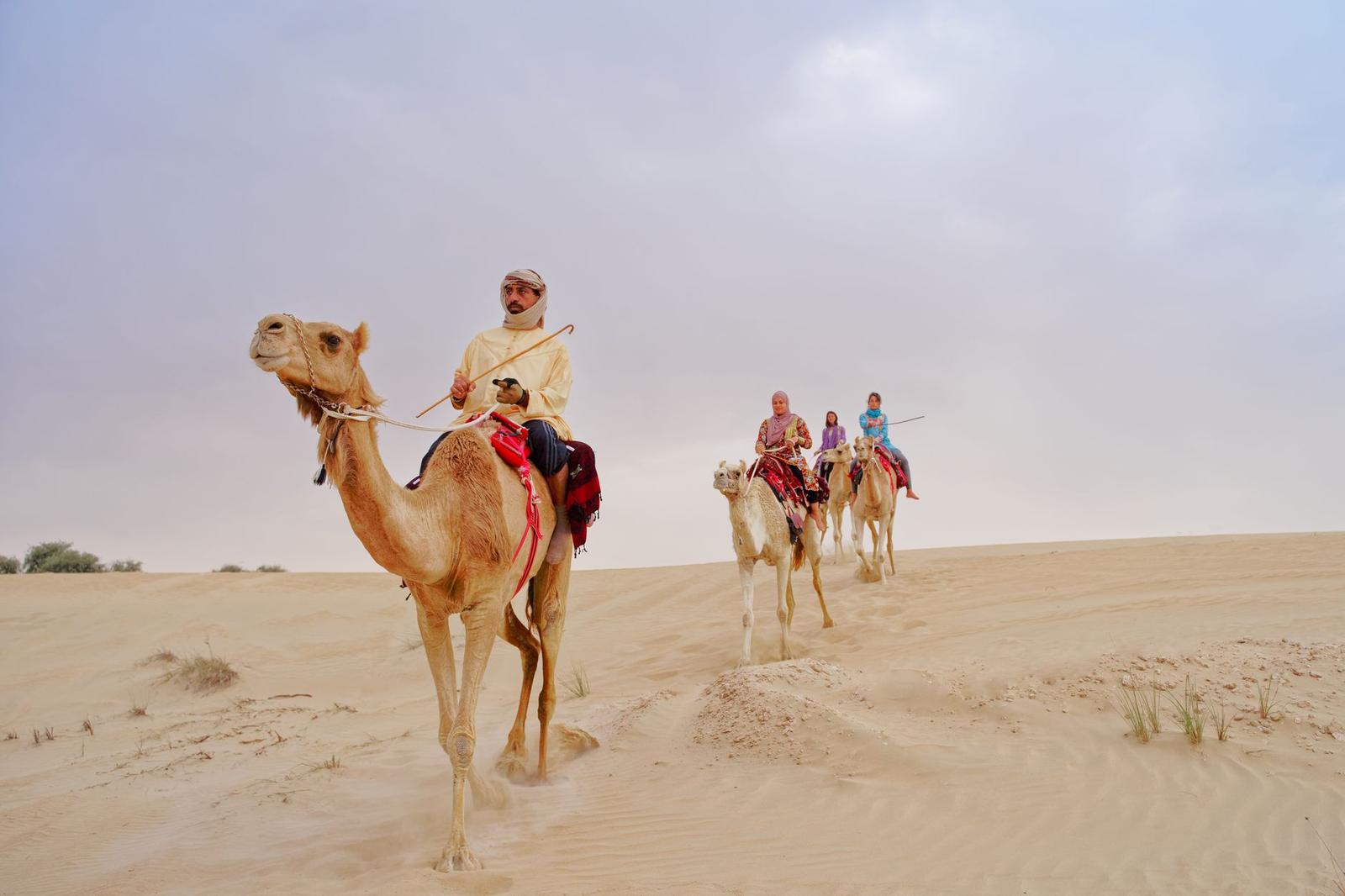 Camel ride through the dunes outside Dubai