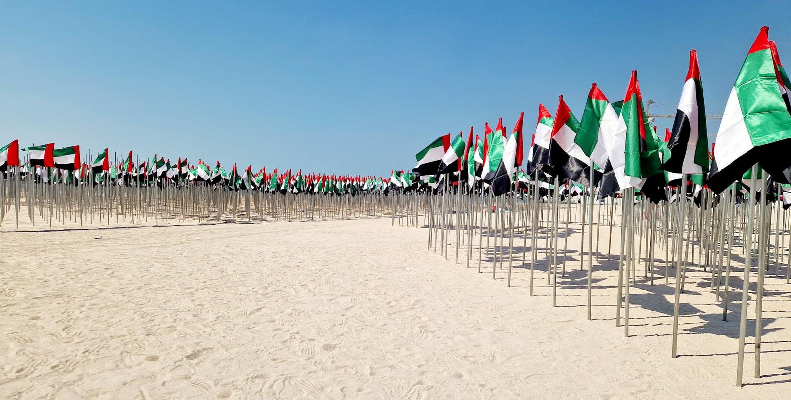 Rows of national flags planted in the sand along a beach