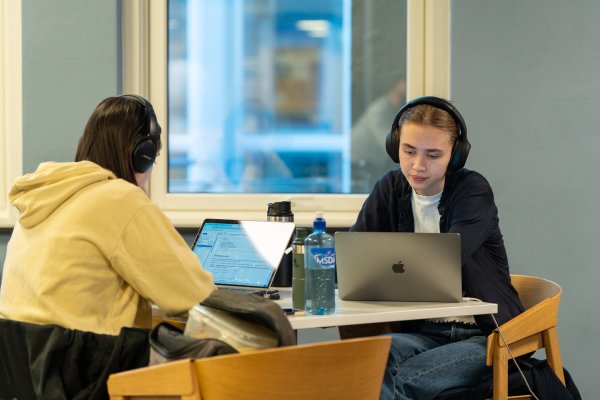 To tilfeldige studenter som leser til eksamen.