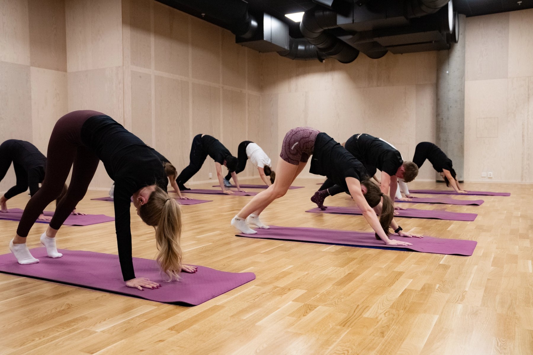 Mange studenter gjør yoga i en gruppesal