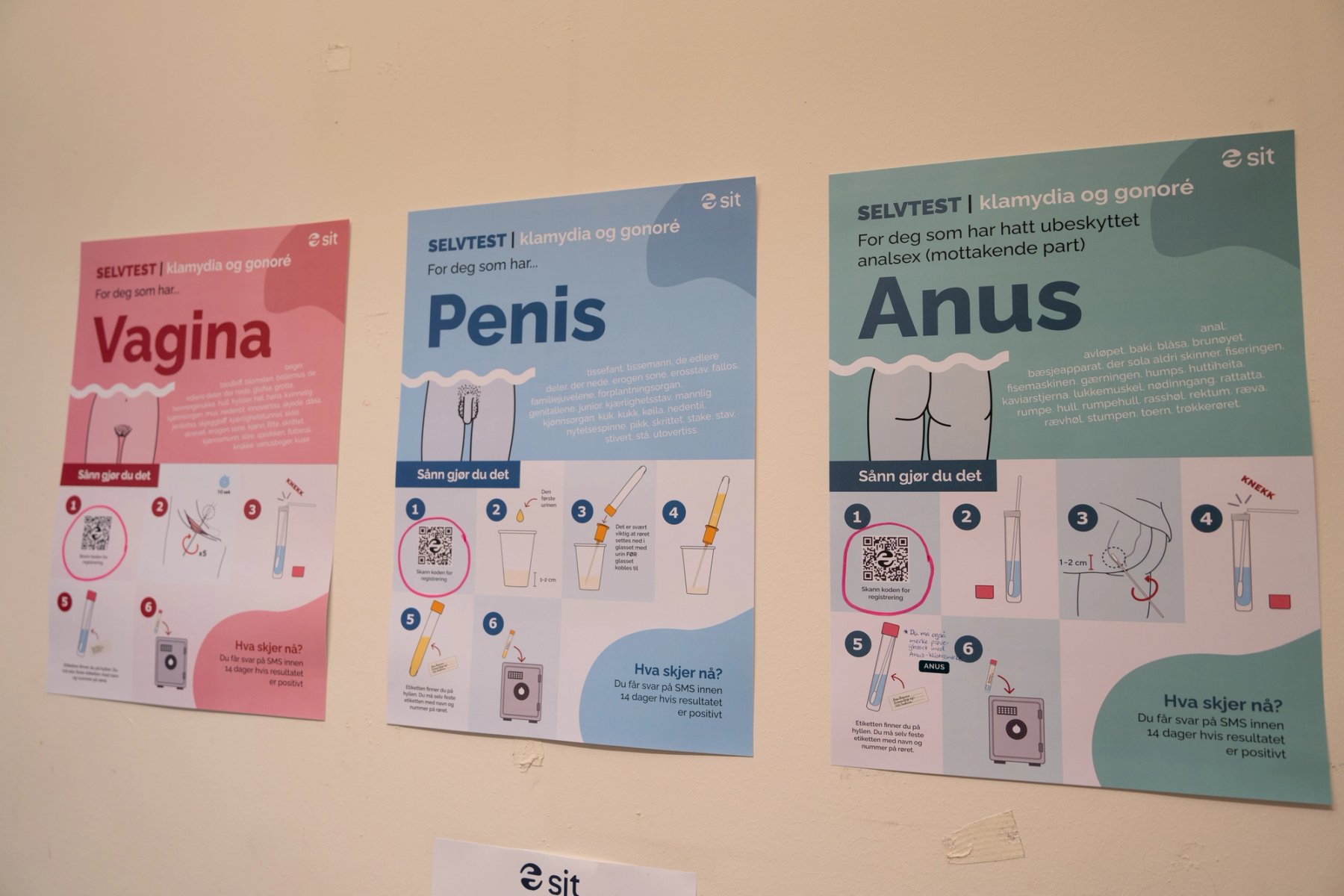 Bilde av tre plakater fra Sit med instruksjoner for selvtest av klamydia og gonoré – for vagina, penis og anus.