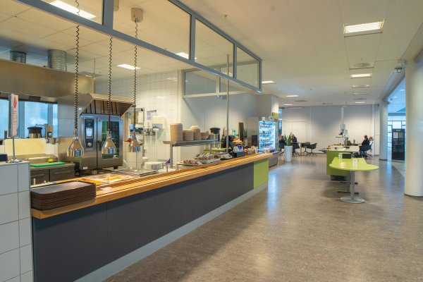 Elgeseter, Gløshaugen