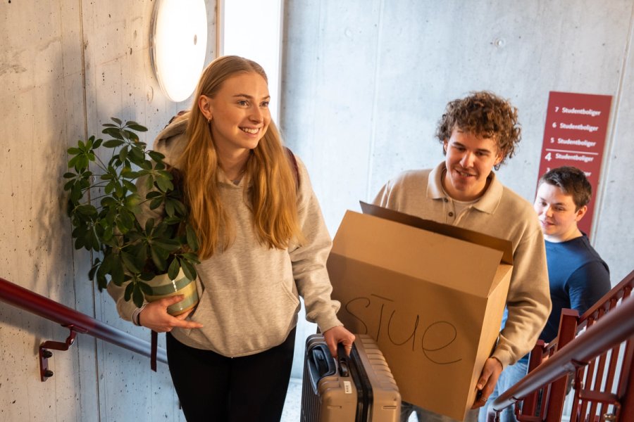 Student bærer plante og koffert opp en trapp, mens medstudenter hjelper til med flytteesker.