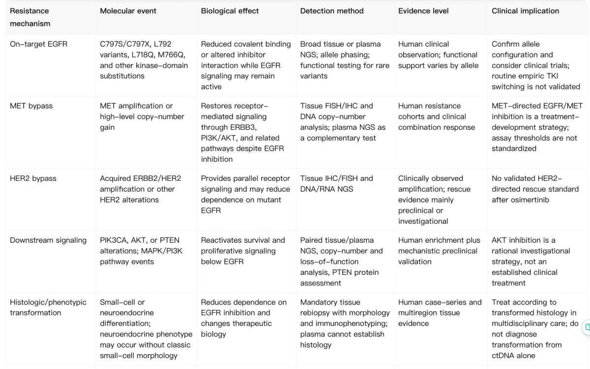 Noah table comparing major osimertinib resistance mechanisms in EGFR-mutant NSCLC including on-target EGFR changes, MET bypass, HER2 bypass, downstream signaling and histologic transformation.