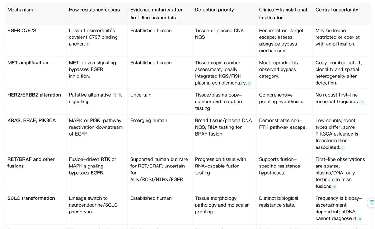 Noah AI final drug resistance mechanism map for first-line osimertinib in EGFR-mutant NSCLC.