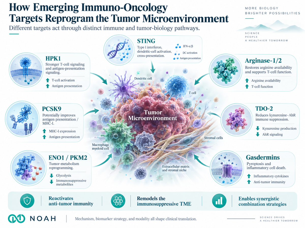 Illustration showing how emerging immuno-oncology targets reprogram the tumor microenvironment through pathways involving STING, HPK1, Arginase-1/2, TDO-2, Gasdermins, PCSK9, and ENO1/PKM2