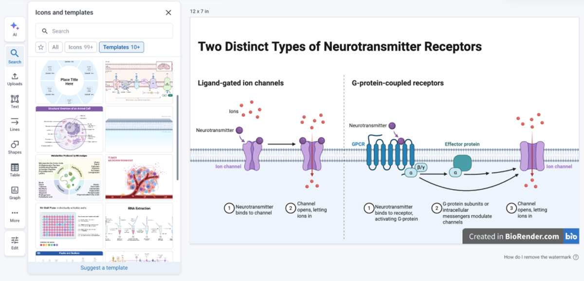 BioRender scientific illustration template library for life science figures