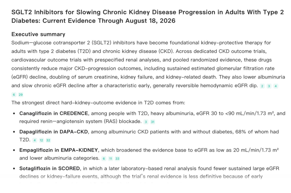 Noah AI cited literature review report synthesizing SGLT2 evidence in chronic kidney disease