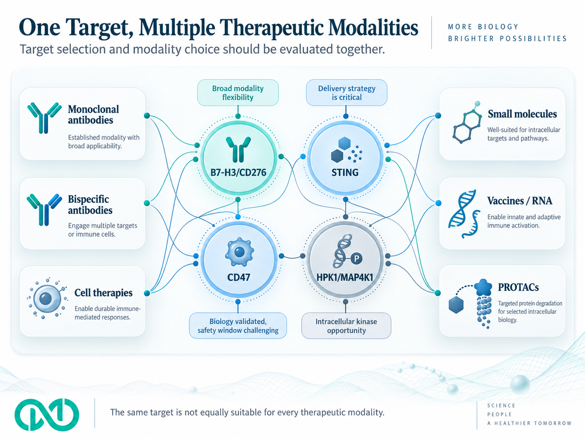 Diagram showing how different immuno-oncology targets connect to multiple therapeutic modalities such as antibodies, bispecifics, small molecules, RNA, PROTACs, and cell therapies