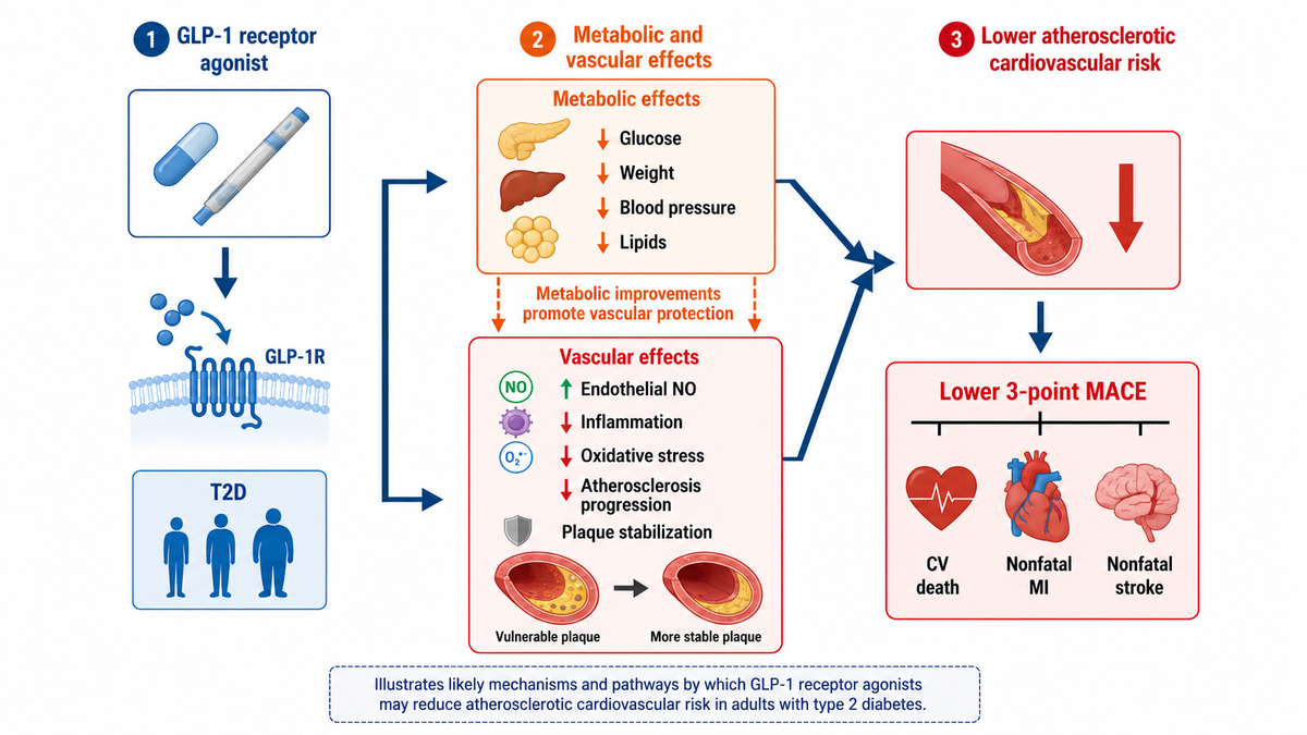 Generated scientific schematic showing GLP-1 receptor agonist metabolic and vascular effects and reduced 3-point MACE.