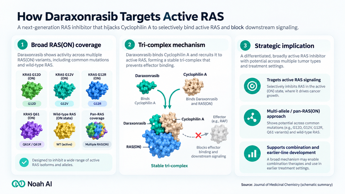 Noah infographic summarizing phase 3 overall survival and progression-free survival for daraxonrasib versus chemotherapy in metastatic pancreatic cancer.