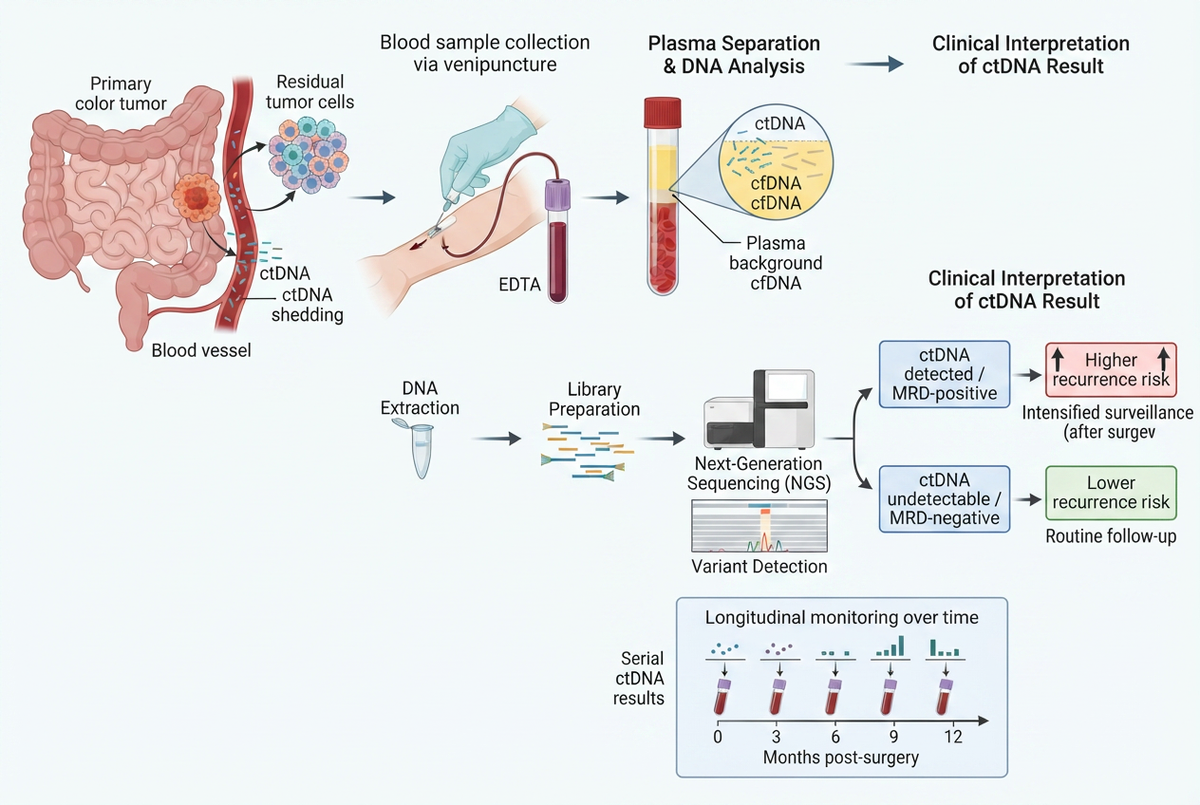 Noah AI generated scientific figure draft for ctDNA colorectal cancer recurrence monitoring