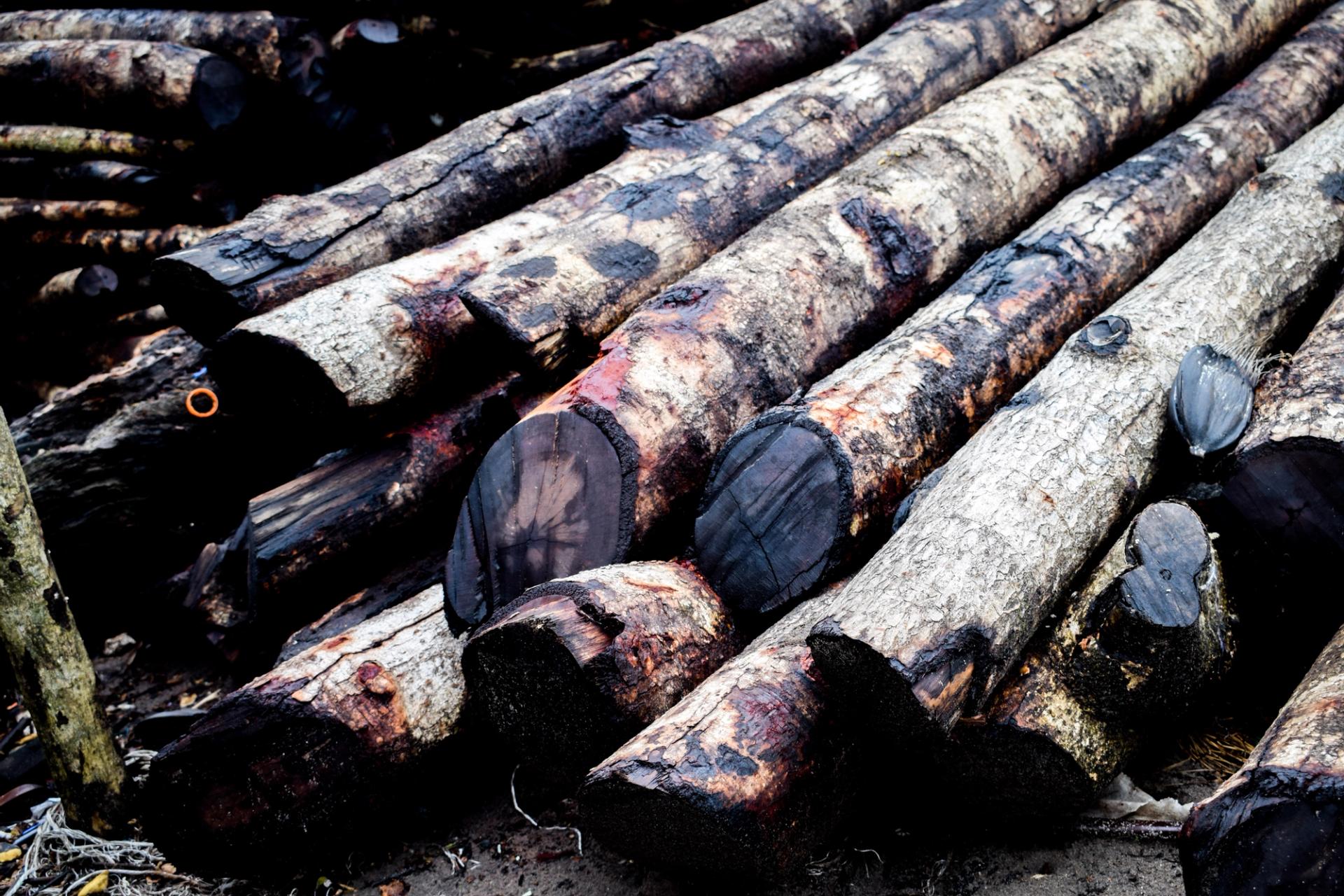 A close-up photograph of a stacked pile of 10 to 15 logs, showing their cut ends