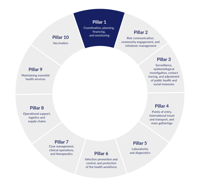 Identify the ‘red flags’ reducing fraud and corruption during Covid19