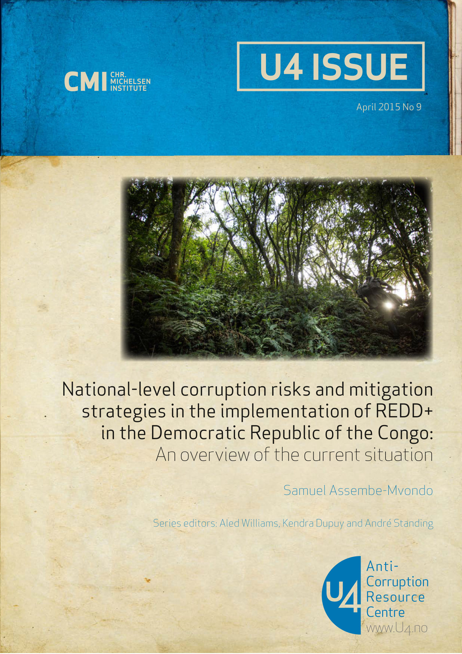 National-level corruption risks and mitigation strategies in the implementation of REDD+ in the Democratic Republic of the Congo: An overview of the current situation