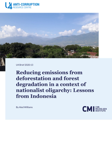Reducing emissions from deforestation and forest degradation in a ...