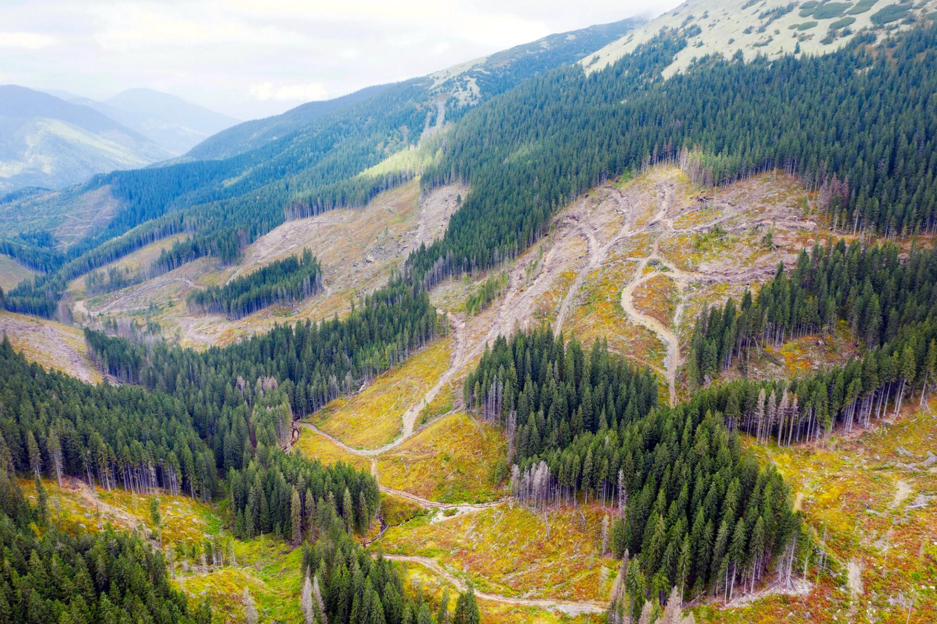 Mountain hillsides in Ukraine with large areas where forest has been logged.