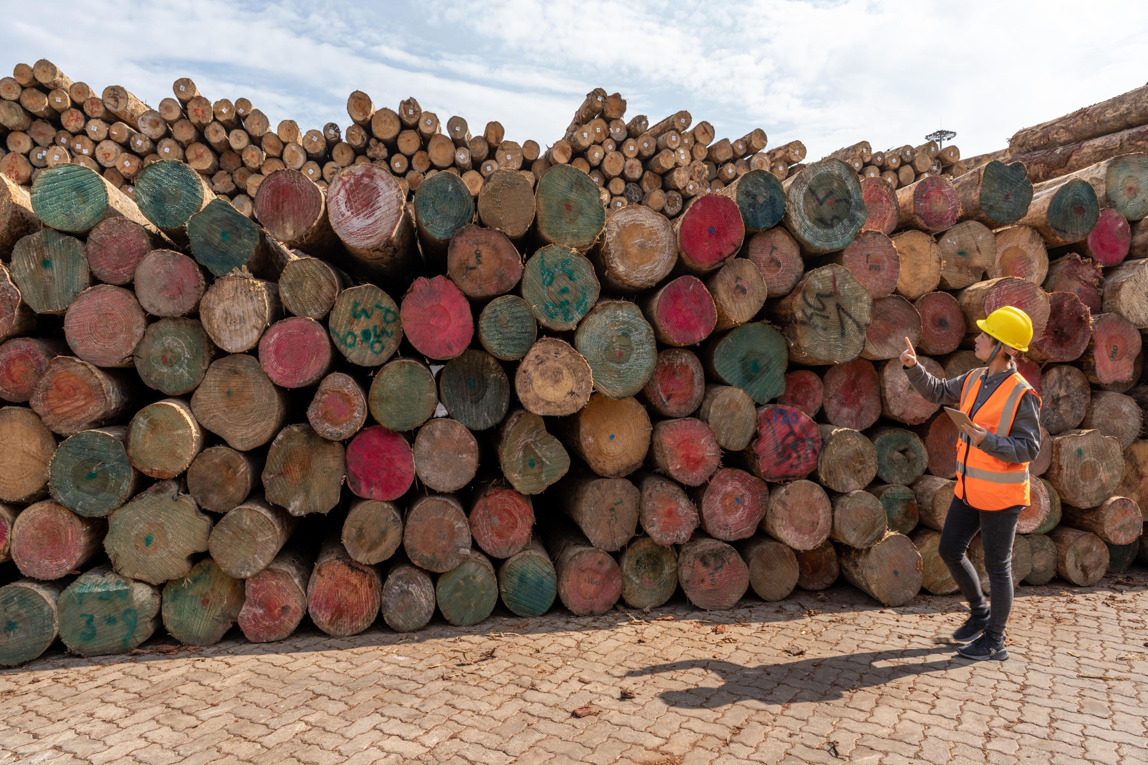 Integrity and geopolitics: Addressing the China factor in natural resource governance
