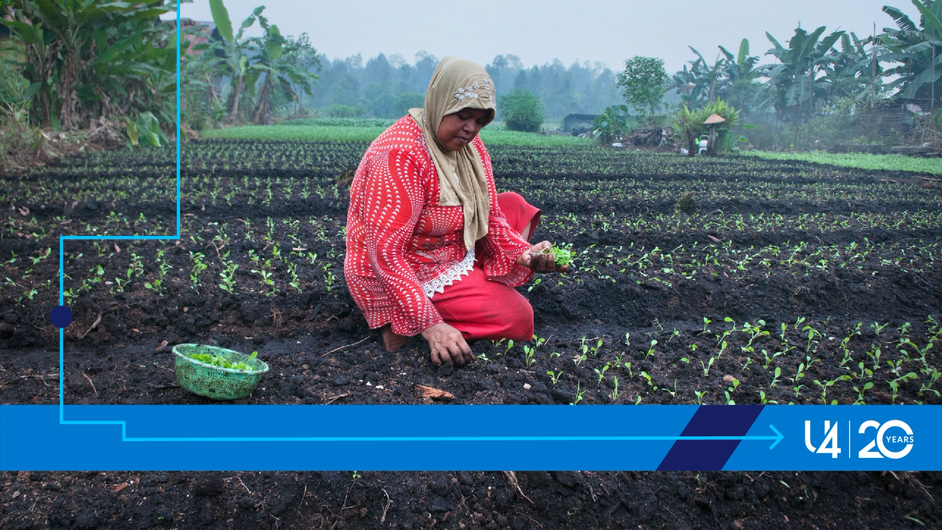 A woman sitting in a field planting seedlings