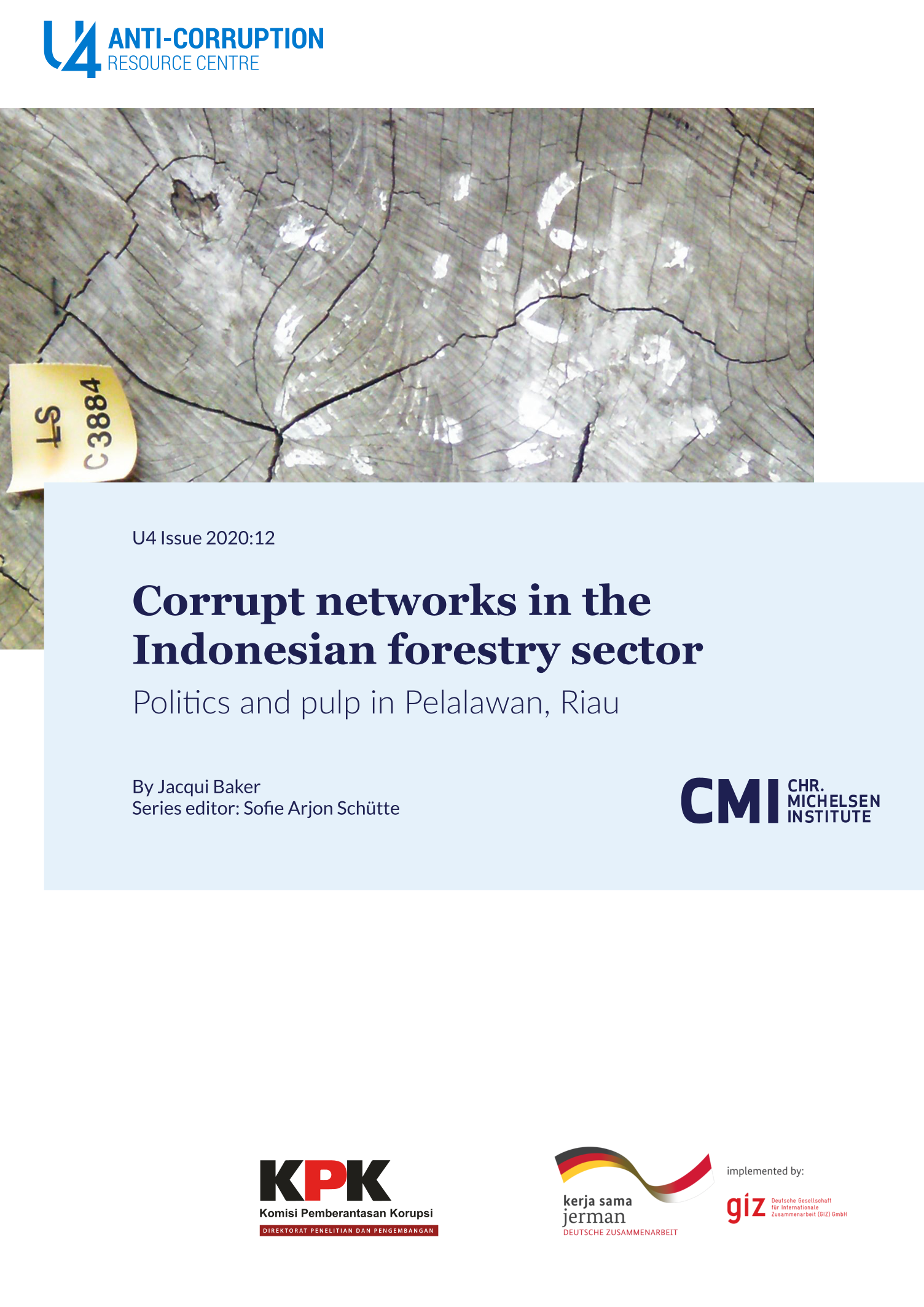 Corrupt networks in the Indonesian forestry sector