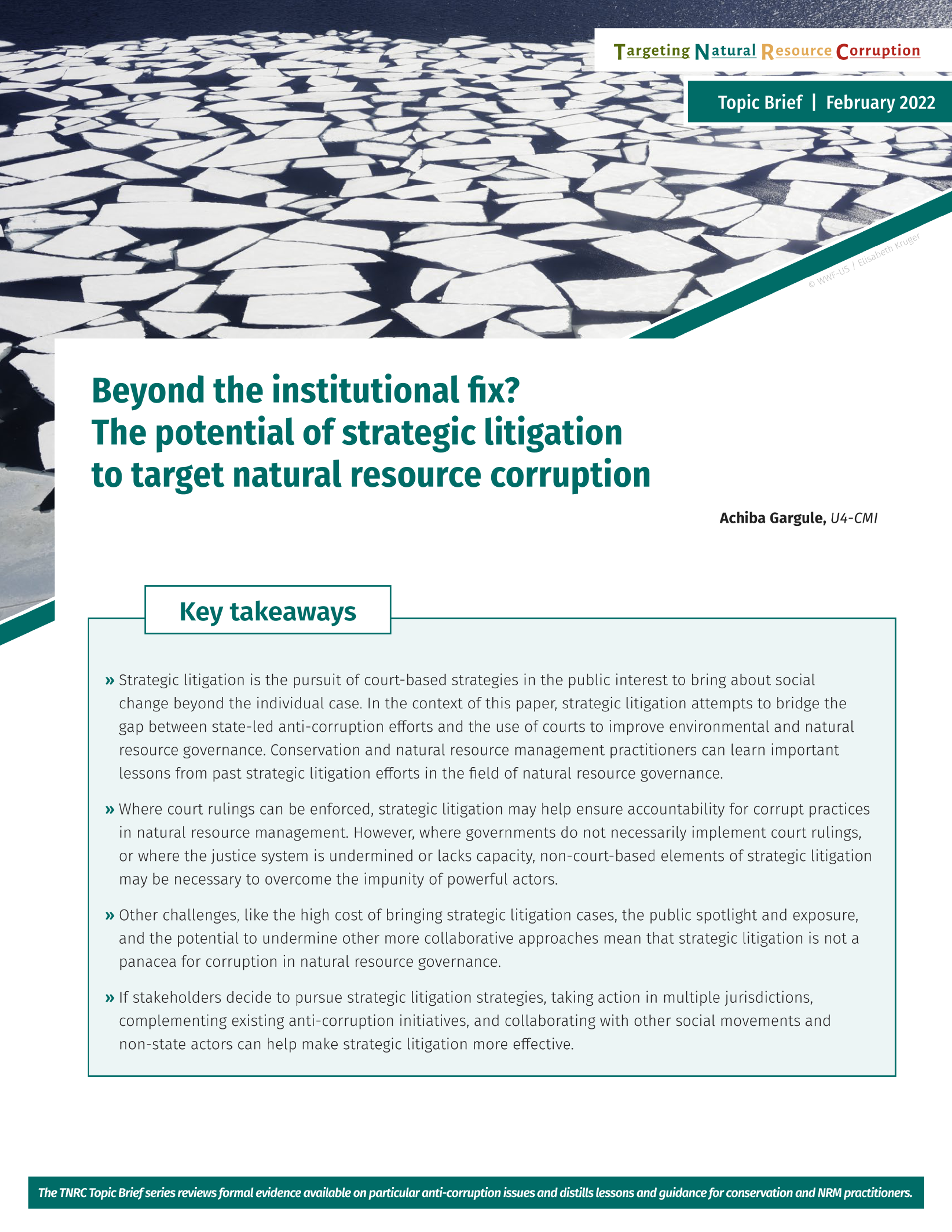 Beyond the institutional fix? The potential of strategic litigation to target natural resource corruption