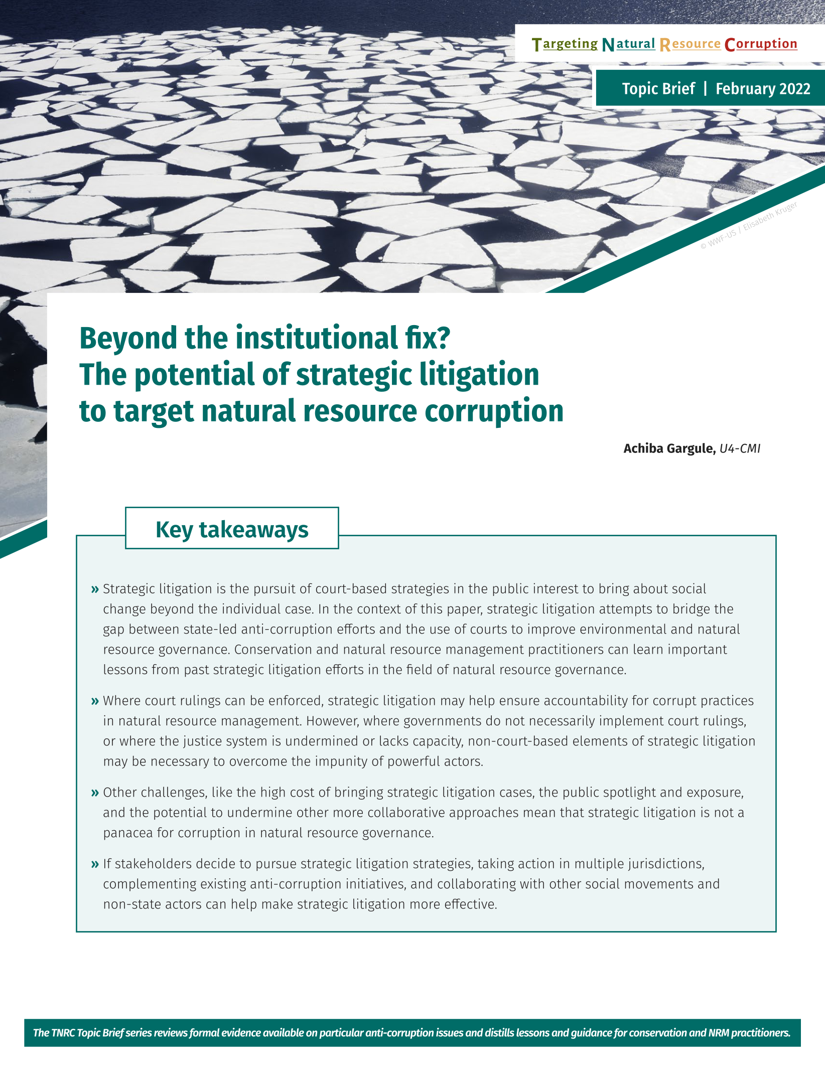 Beyond the institutional fix? The potential of strategic litigation to target natural resource corruption