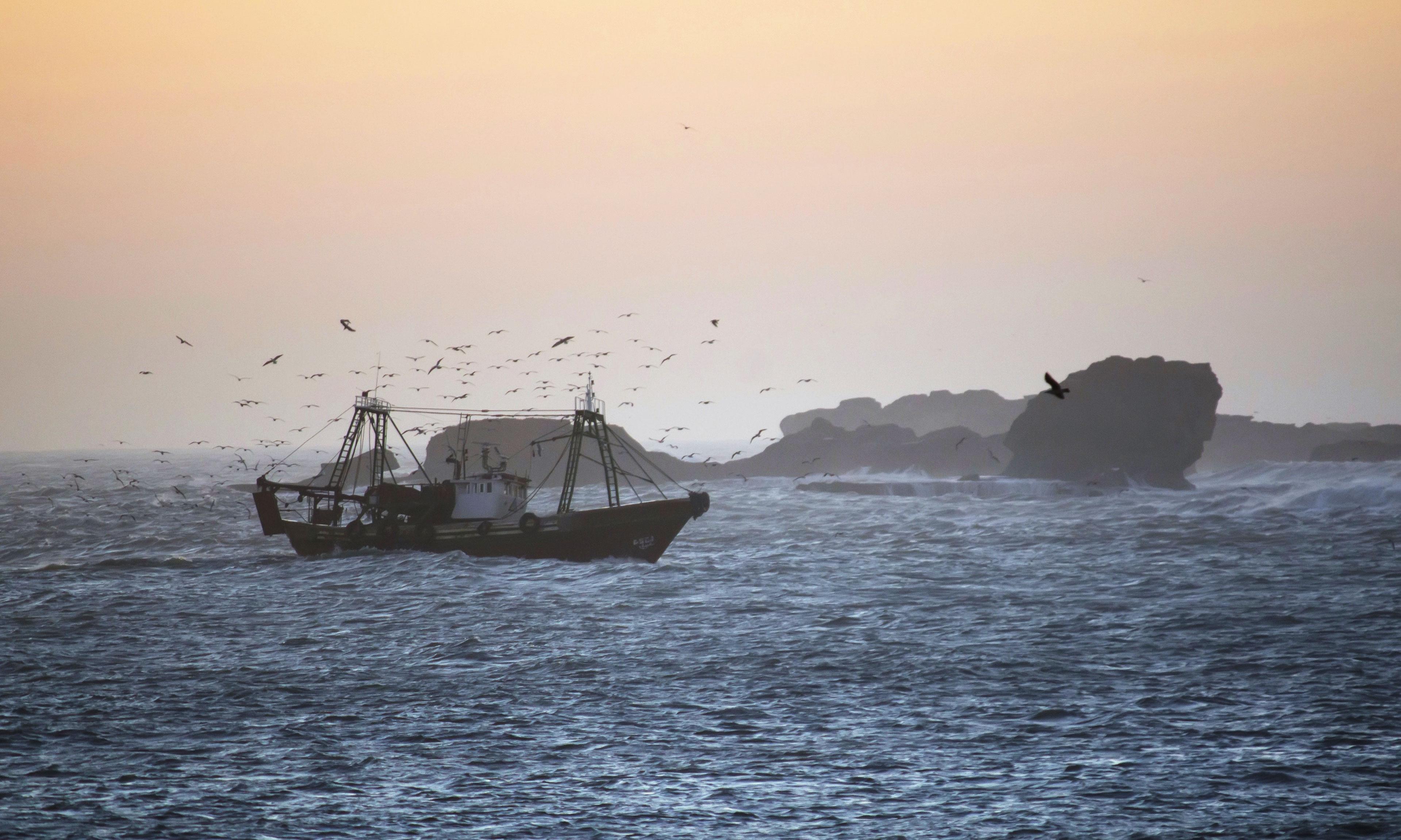 Corruption as a facilitator of illegal fishing