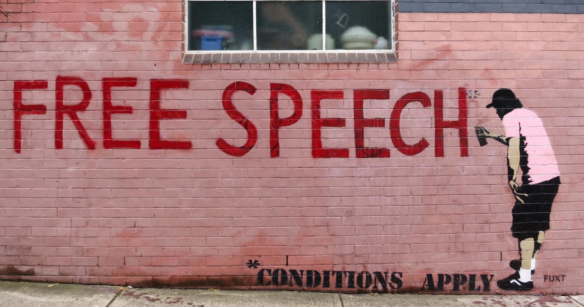 Street art. The graffito depicts a man spray-painting the words 'FREE SPEECH' in bold uppercase red letters. An asterisk at the end of the phrase is spelled out at the bottom of the wall, meaning 'conditions apply'