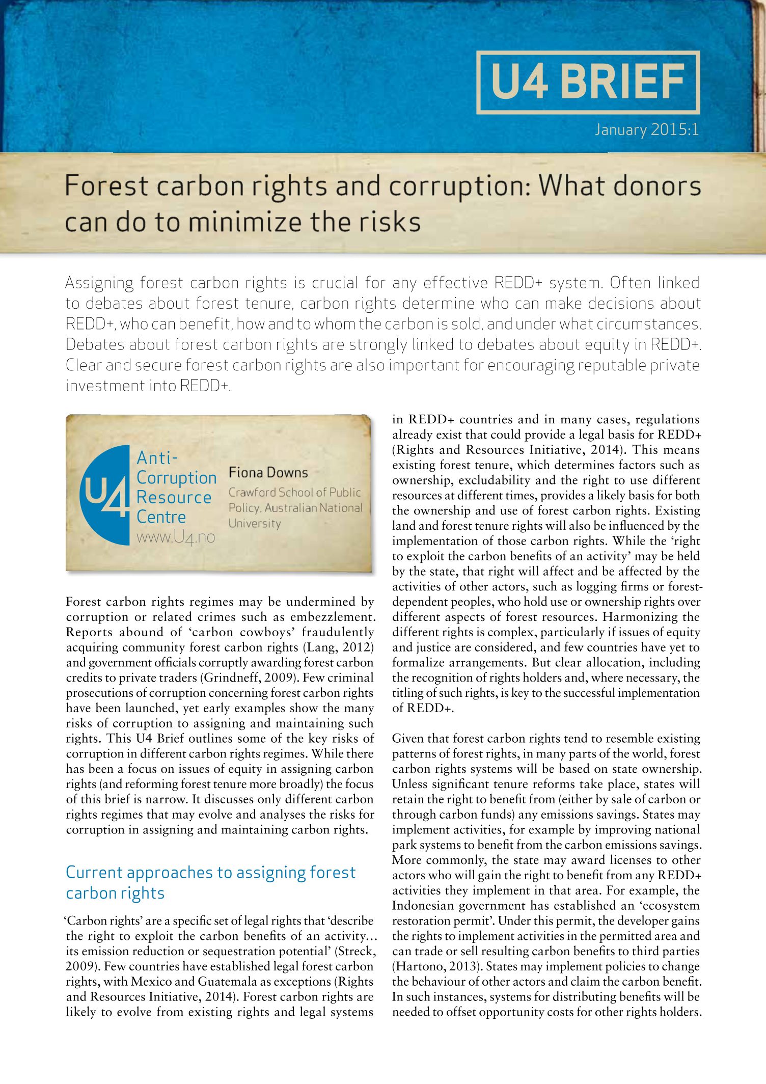 Forest carbon rights and corruption: What donors can do to minimize the risks