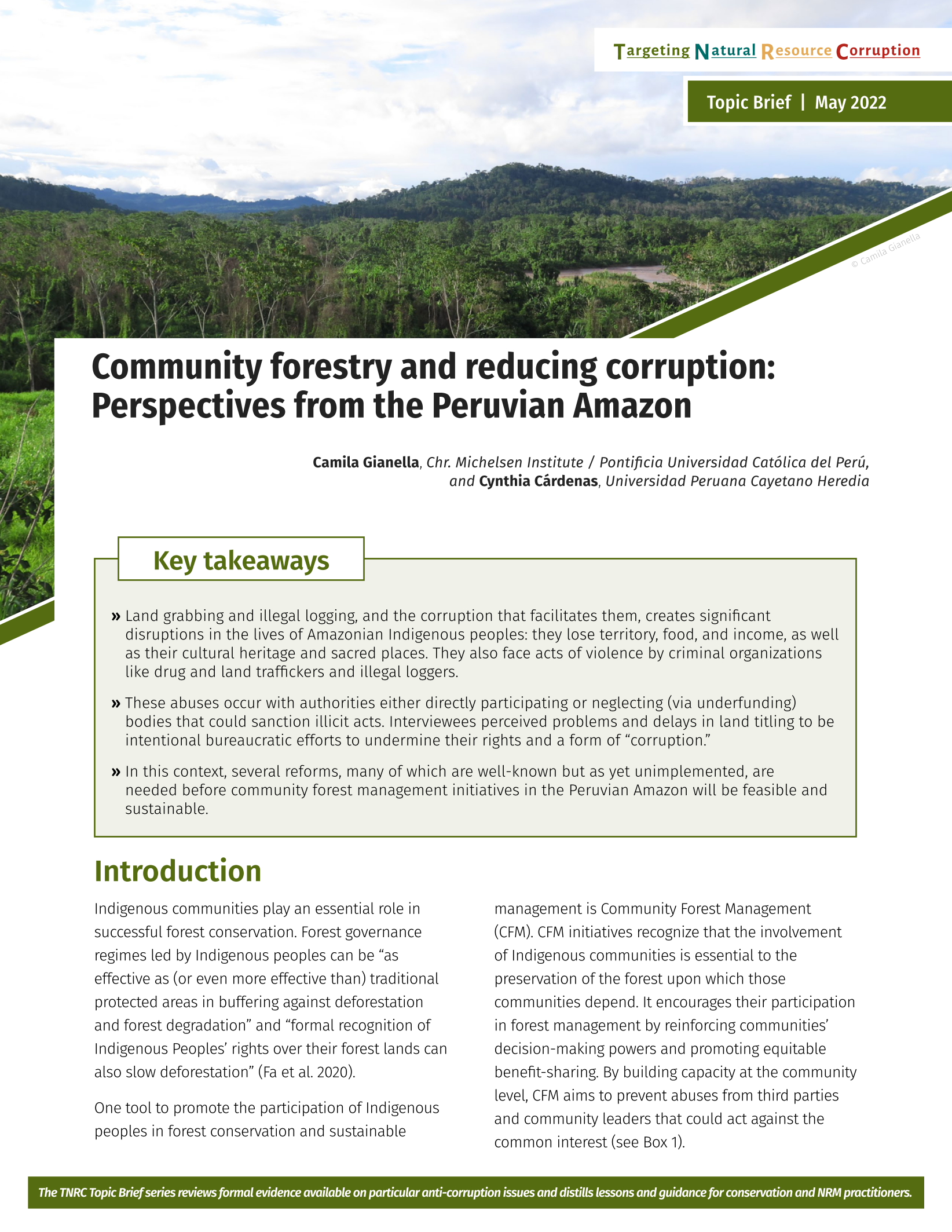 Community forestry and reducing corruption: Perspectives from the Peruvian Amazon