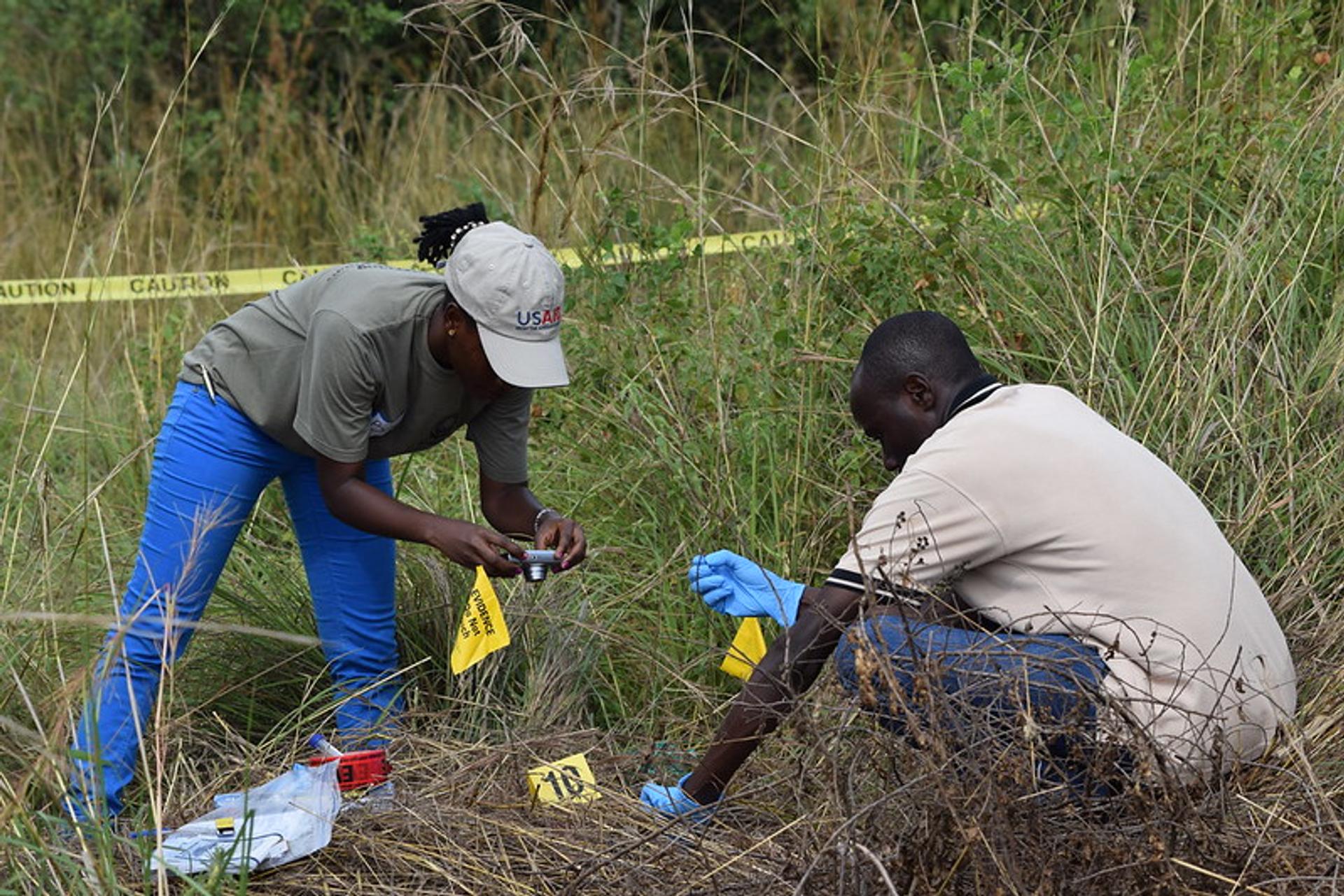 Photo of two wildlife crime investigators in Uganda taking photos of the ground, among long grasses.