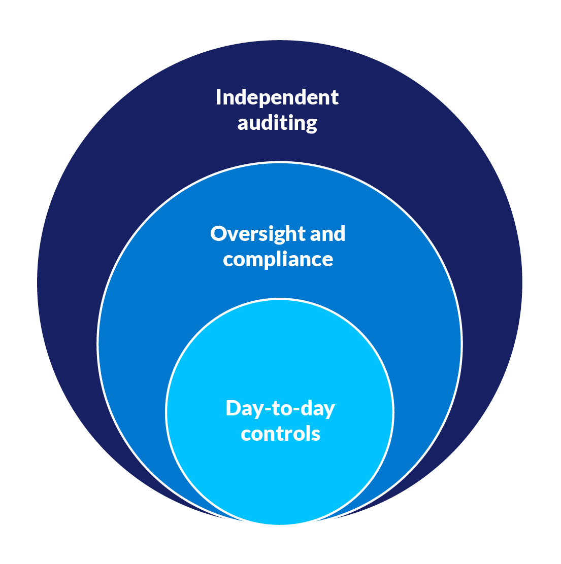 Graphic showing three overlapping circles. The innermost circle represents day-to-day risk controls. The second says 'oversight and compliannce'. The third says 'independent auditing'.