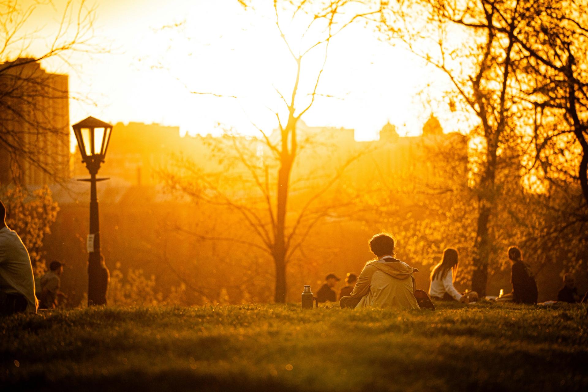 People relaxing in a park during golden hour.