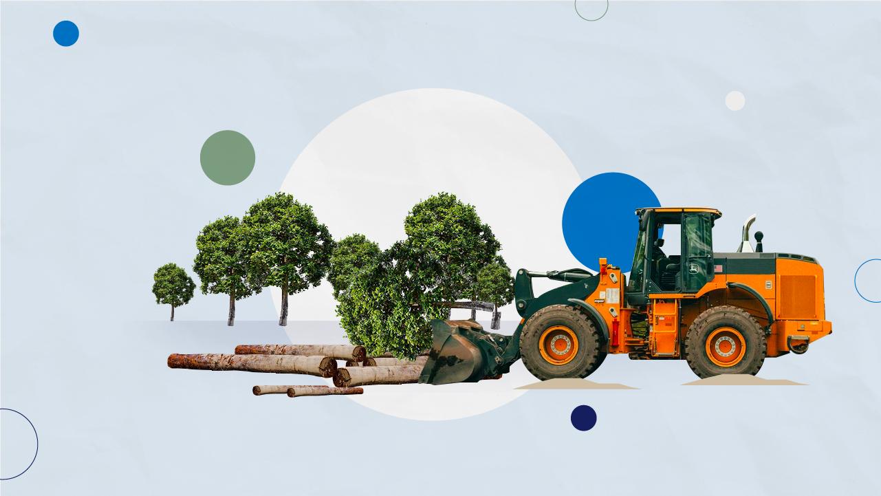 A collage with a bulldozer, trees, and logs. 