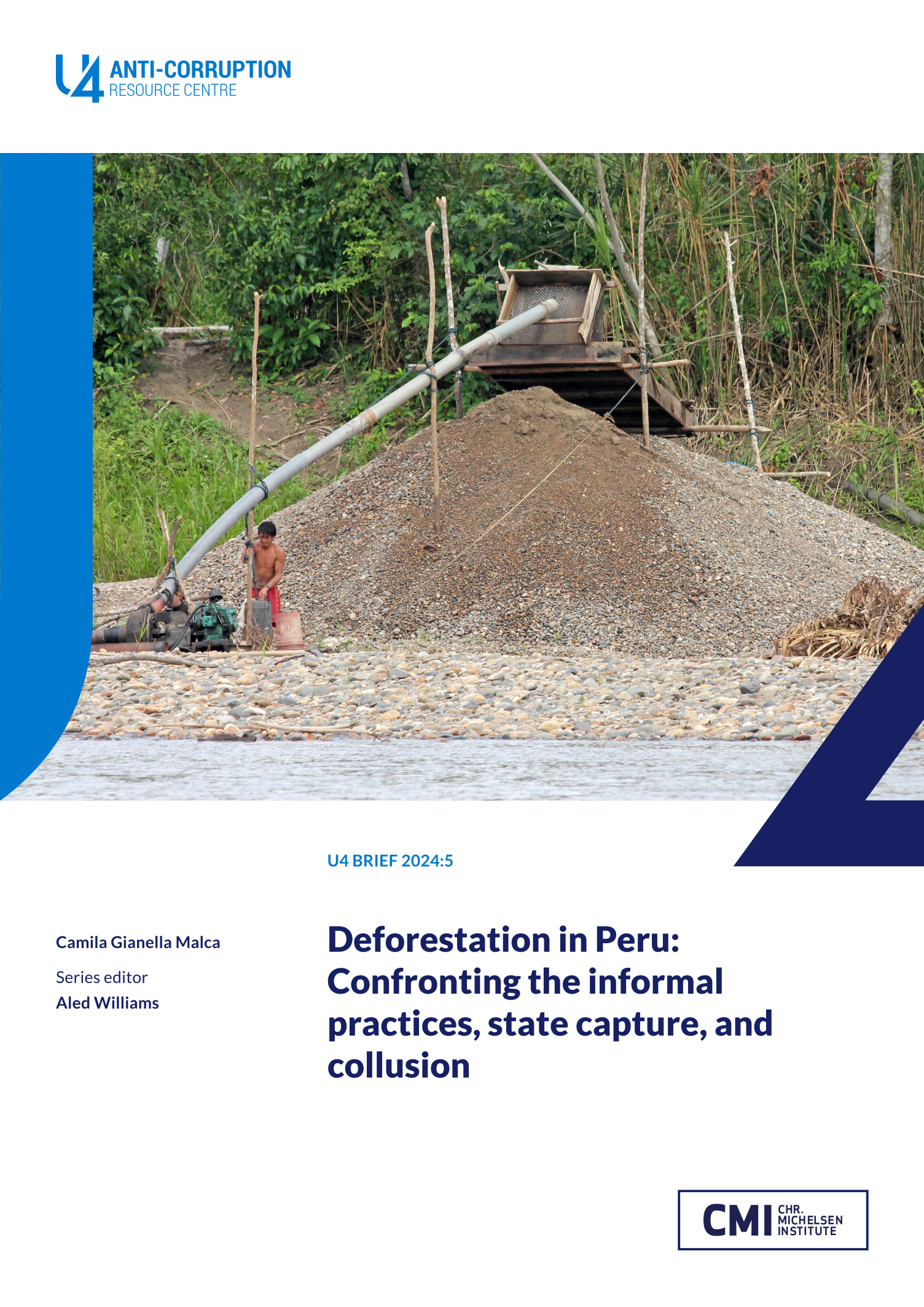 Deforestation in Peru: Confronting the informal practices, state capture, and collusion