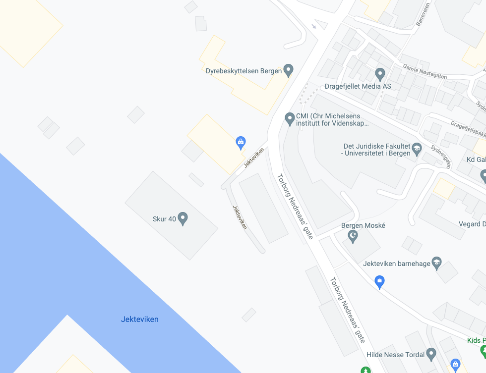Google map image
