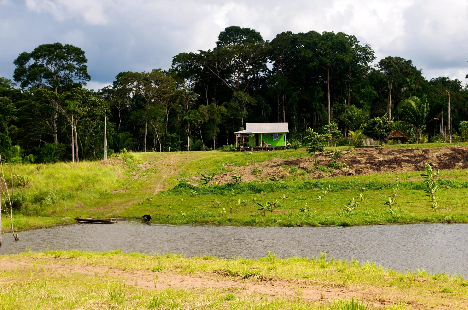 A smallholder farm near a forest in Brazil.