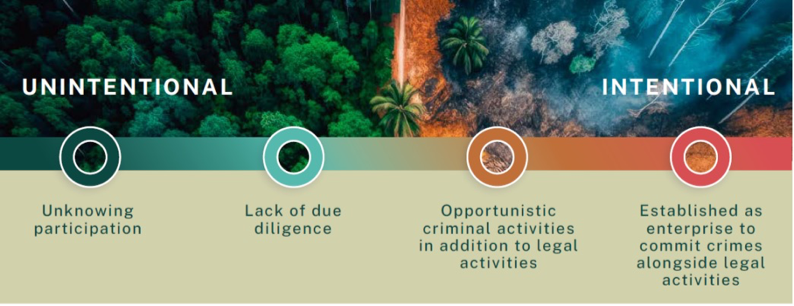 A spectrum diagram ranging from "Unintentional" to "Intentional" environmental crime, showing stages from "unknowing participation" to "established criminal enterprise".