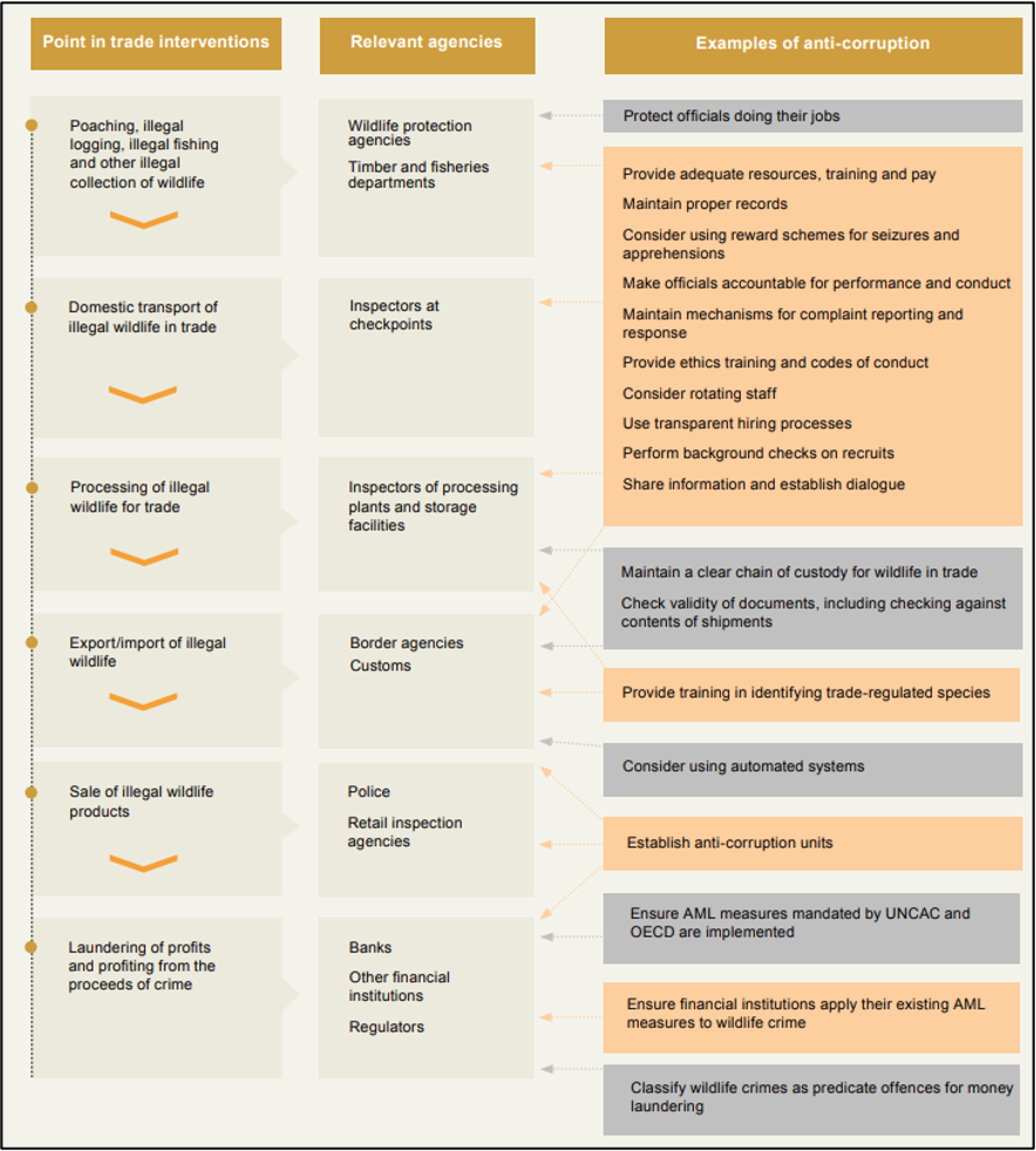 Flowchart showing anti-corruption interventions at different stages of the illegal wildlife trade. 