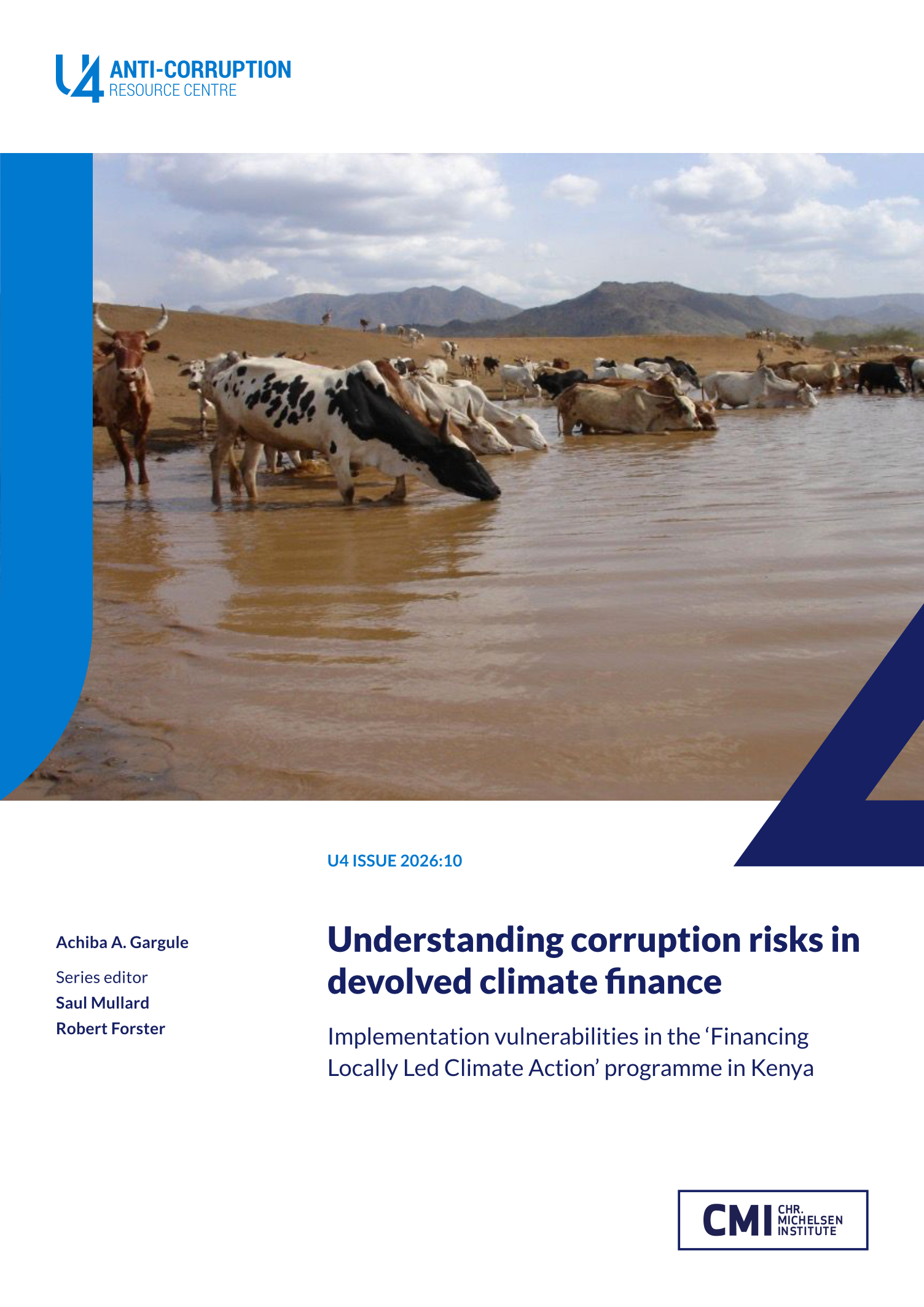 Understanding corruption risks in devolved climate finance