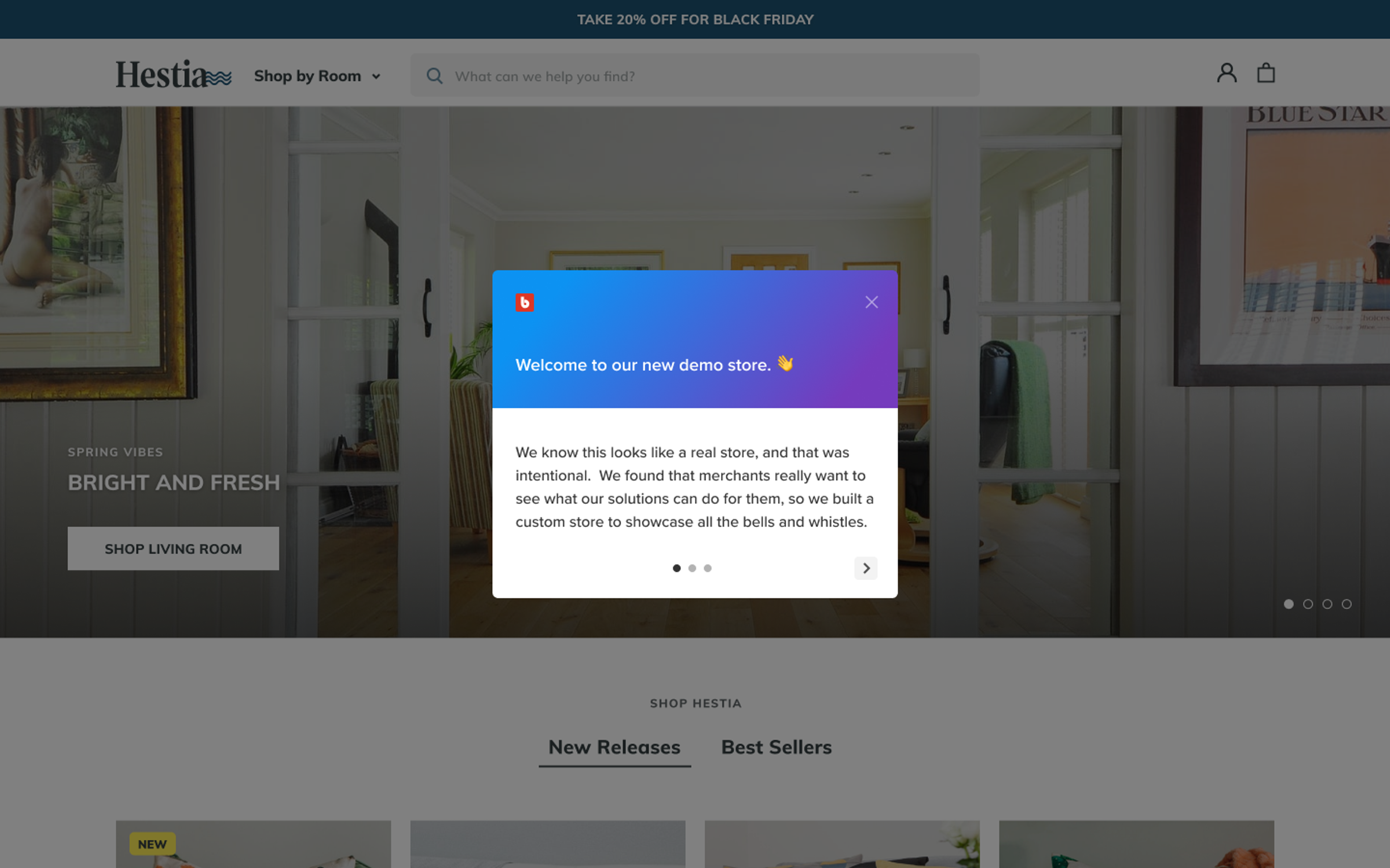 Demo store instructions modal