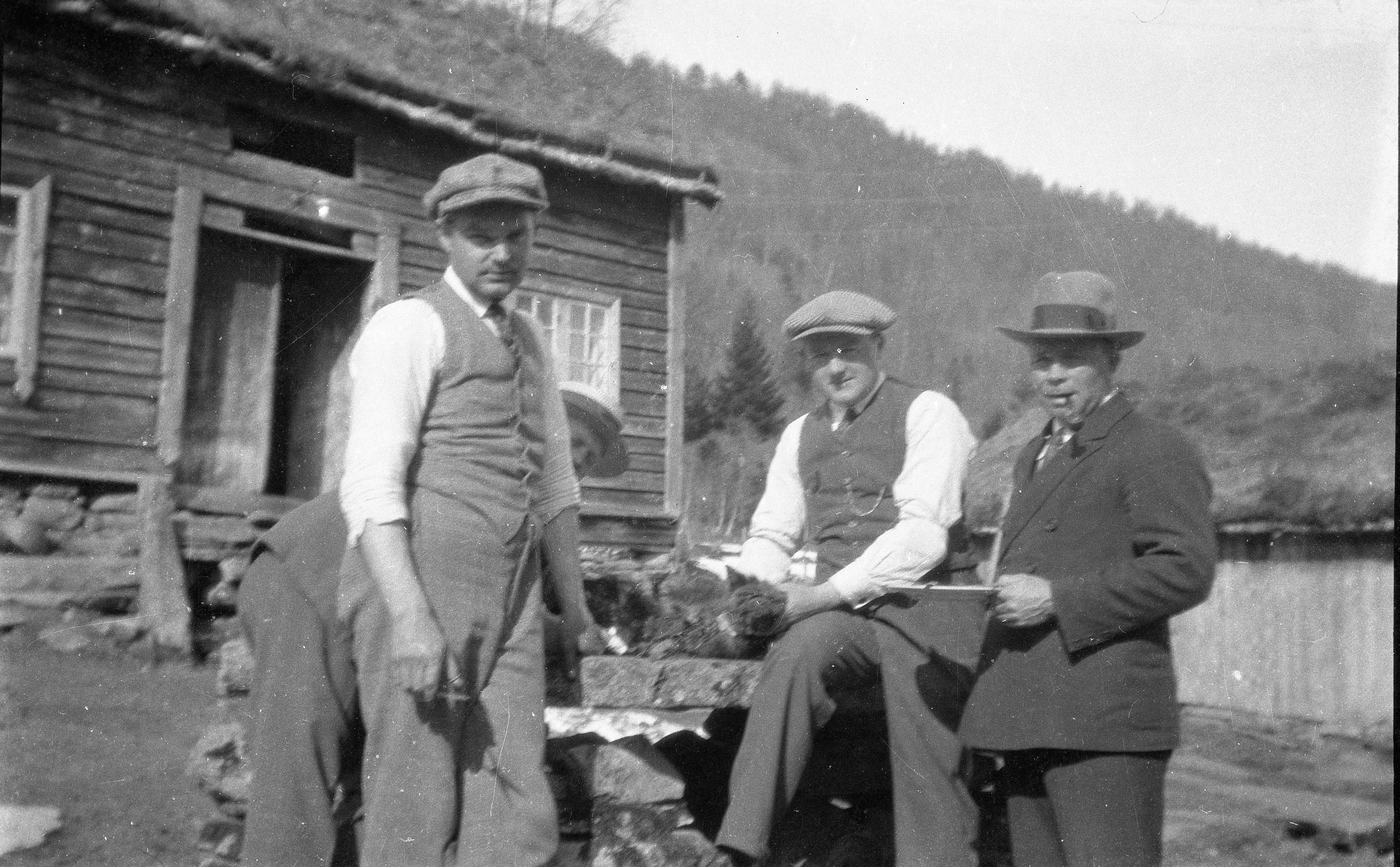 Pelsdyr i ord og folkesong