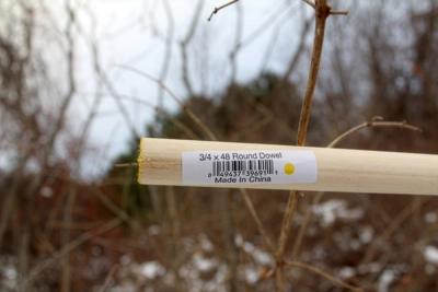 Wooden dowel with label "3/4 x 48 Round Dowel Made In China" against blurred branches.