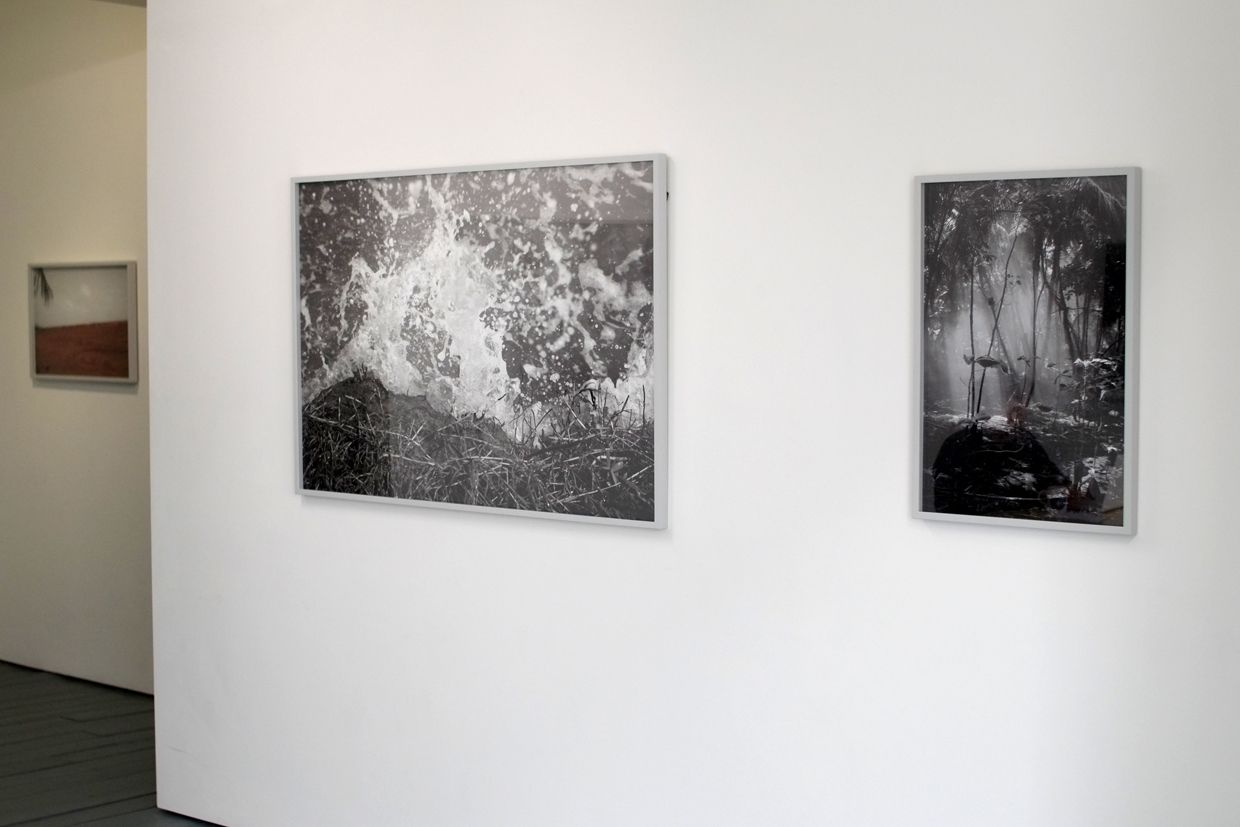 From right to left: Untitled (Jungle) 2009, Untitled (Surf) 2009, Untitled (Ocean) 2013
