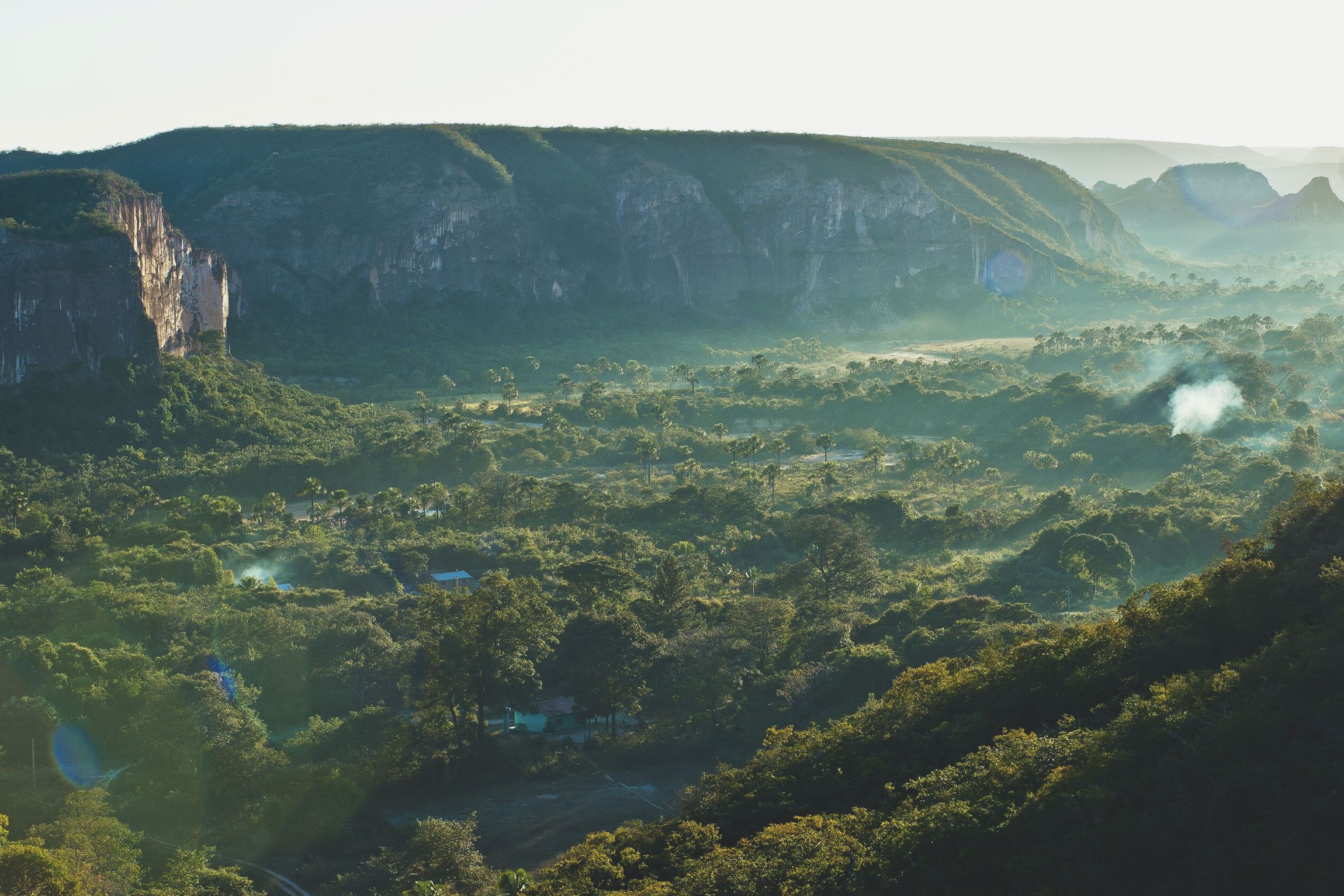 Zero deforestation and conversion